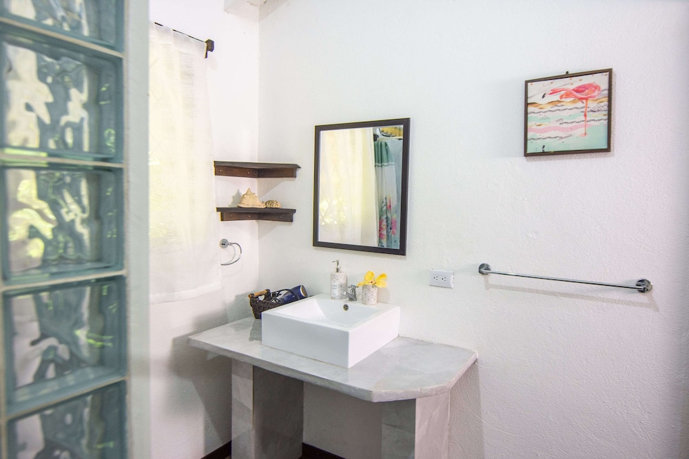 Classic Apartment photo 3