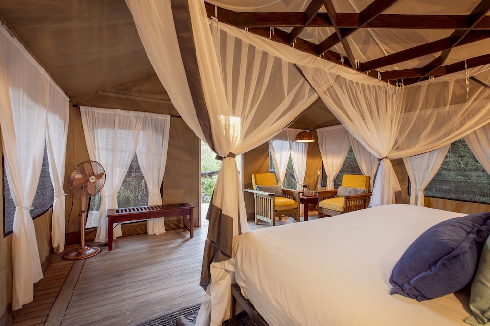 Luxury Room, 1 King Bed photo 3