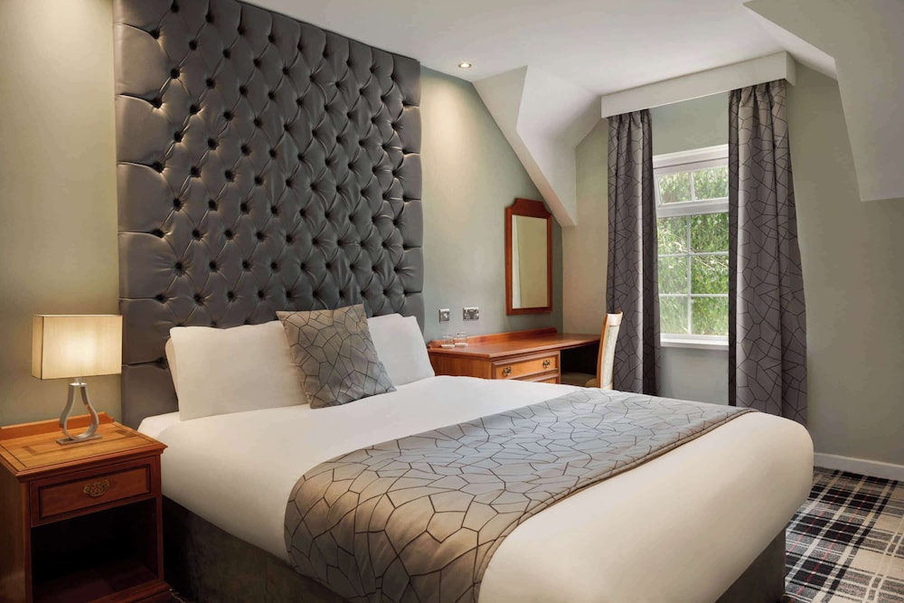 Classic Room, 1 King Bed photo 2