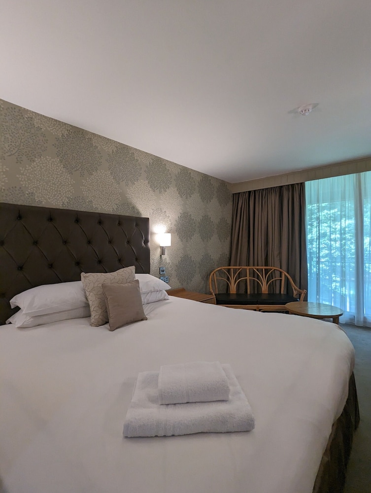 Executive Twin room - Photo 3