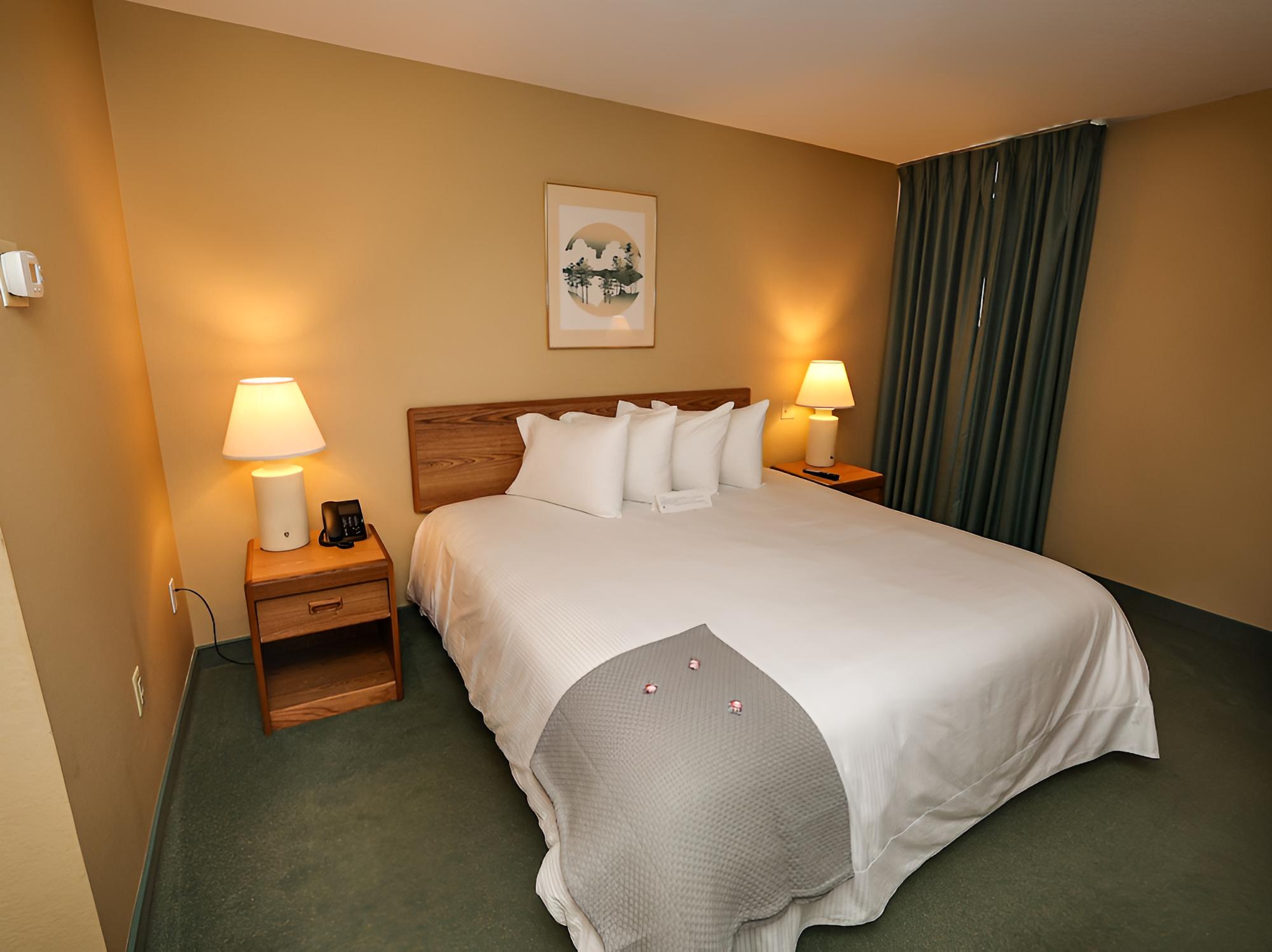 Standard Single Room, 1 King Bed photo 1