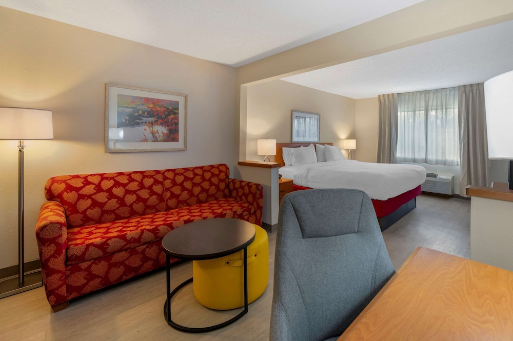 Suite, 1 King Bed with Sofa bed, Non Smoking - Photo 1