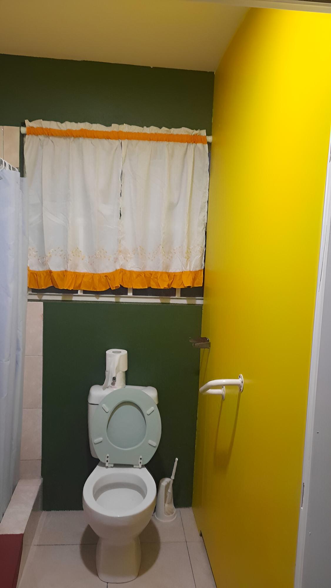 Basic Studio Suite photo 2