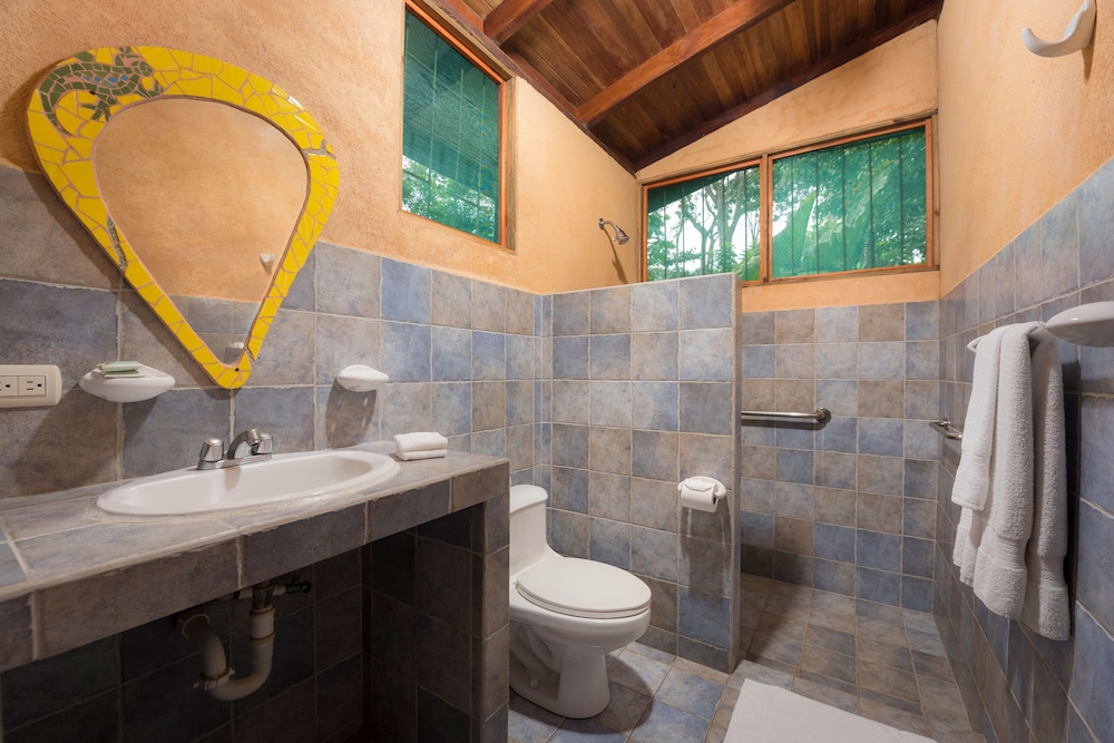 Standard Room + Tours + Transfer In/Out San Jose photo 2