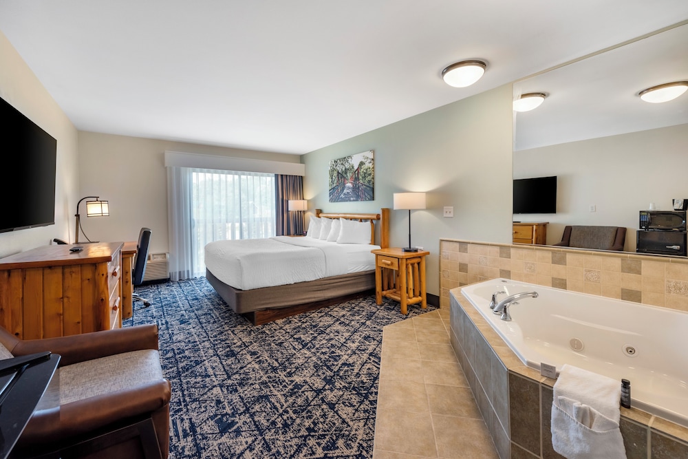 Room, 1 King Bed, Non Smoking photo 2