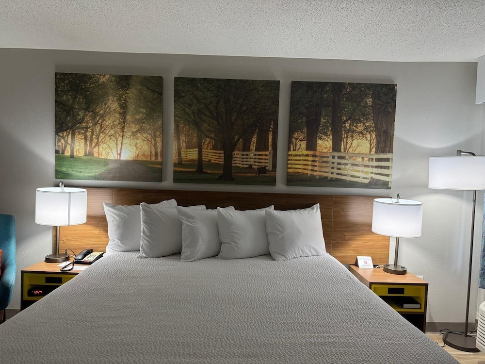 Room, 1 King Bed, Mobility Accessible, Non Smoking (Bathtub W/grab Bars) photo 3