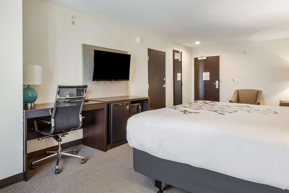 Suite, 1 King Bed, Accessible, Non Smoking - Photo 2
