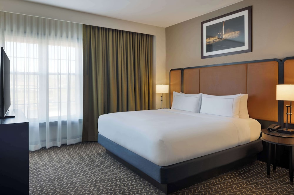 Premium Two Room Suite,1 King Bed with Sofa Bed photo 3