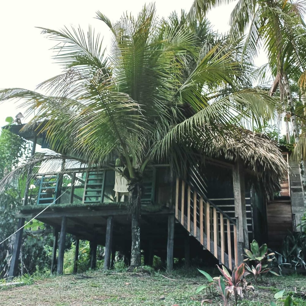Chalet photo 2