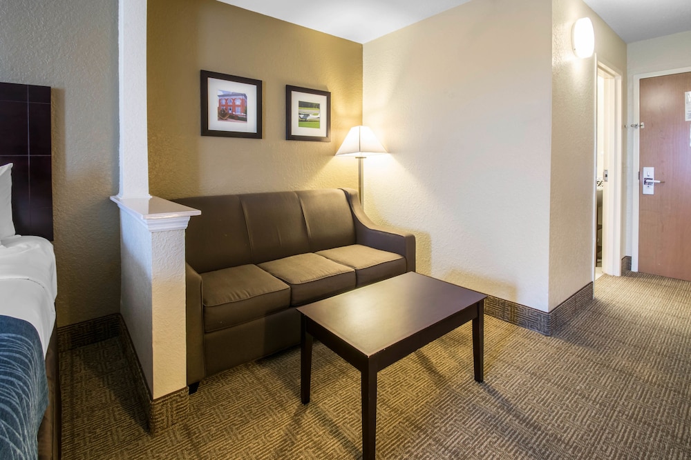 Suite, 1 King Bed with Sofa bed photo 3