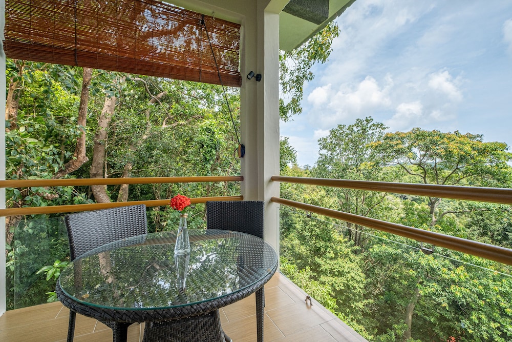 Canopy Studio - Photo 6