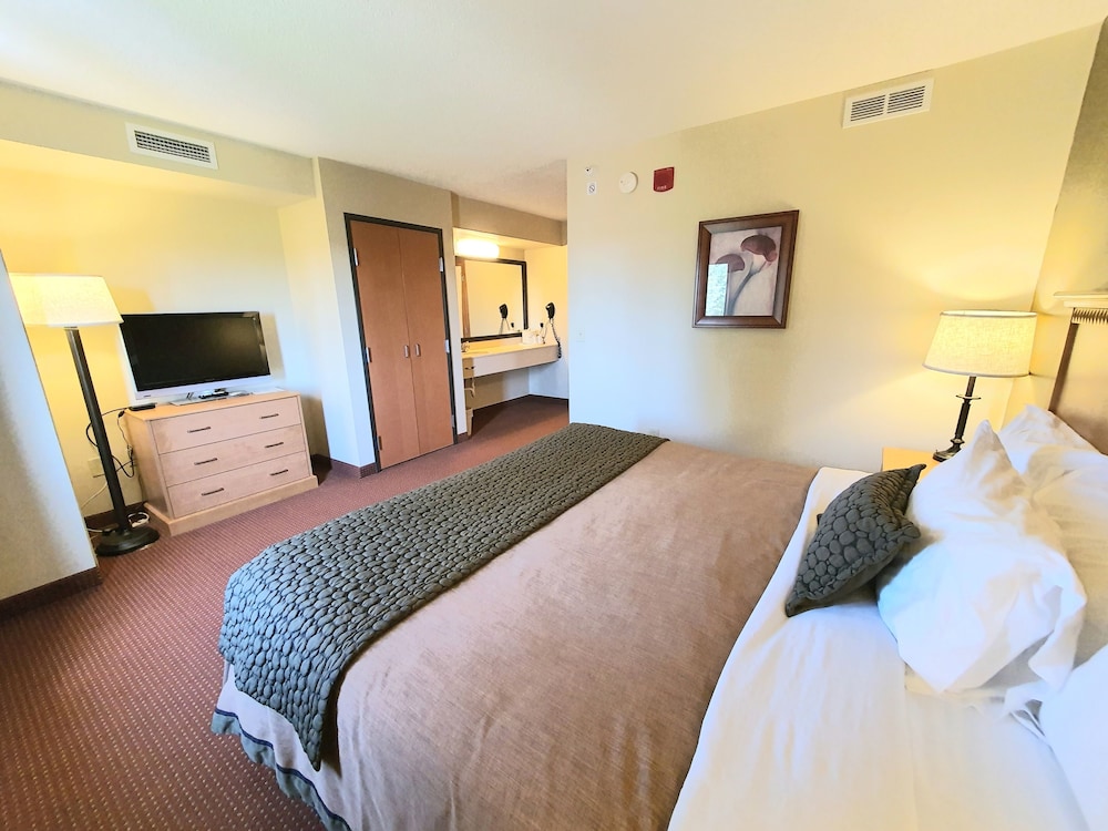 Presidential Suite, 1 King with Sofa bed, Ensuite, Non-Smoking photo 2