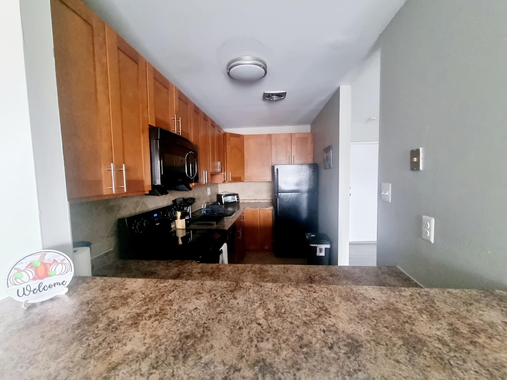 Great Clean Modern Long Term, 사진 10