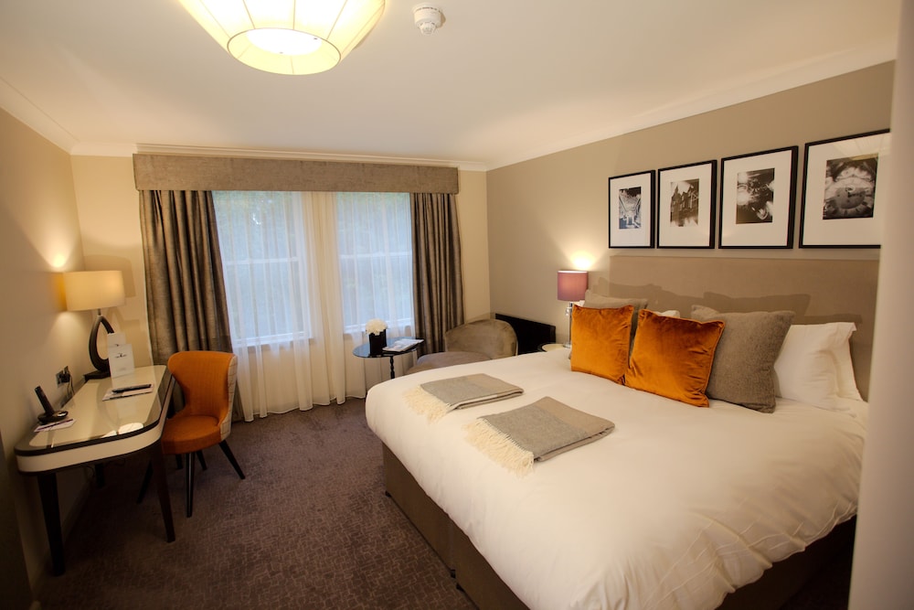 Executive Double Room, 1 King Bed - Photo 1