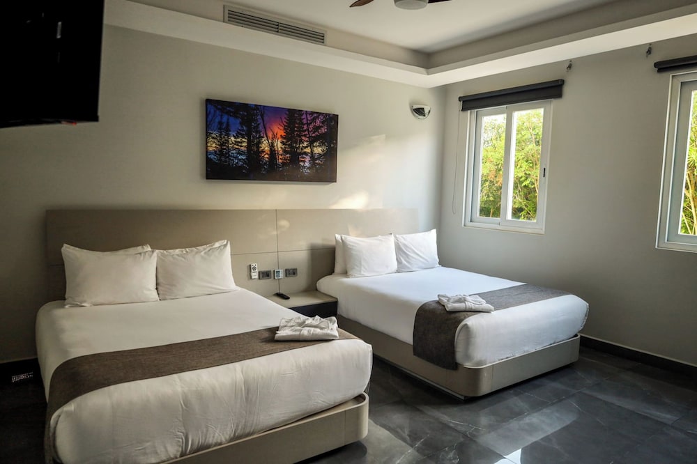 Luxury Apartment photo 3