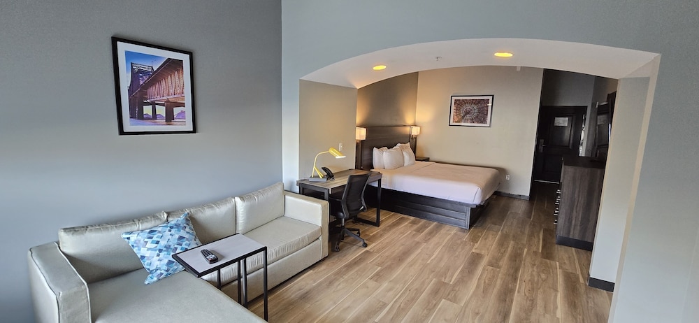 Deluxe Room, 1 King Bed, Non Smoking photo 1