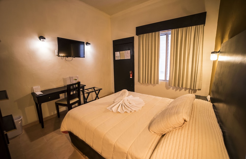 Single Room, 1 King Bed