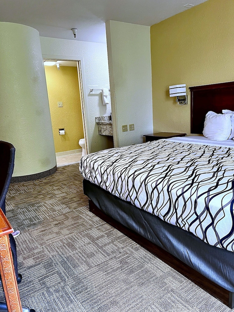 Basic Single Room, 1 King Bed, Non Smoking