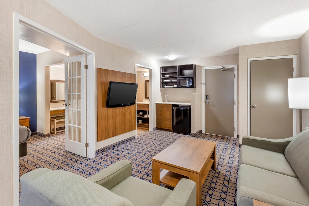 Suite, 1 King Bed, Non Smoking (Efficiency) - Photo 7