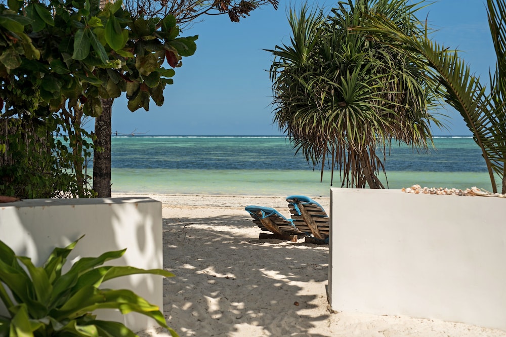 Bungalow, 1 Bedroom, Ocean View photo 3