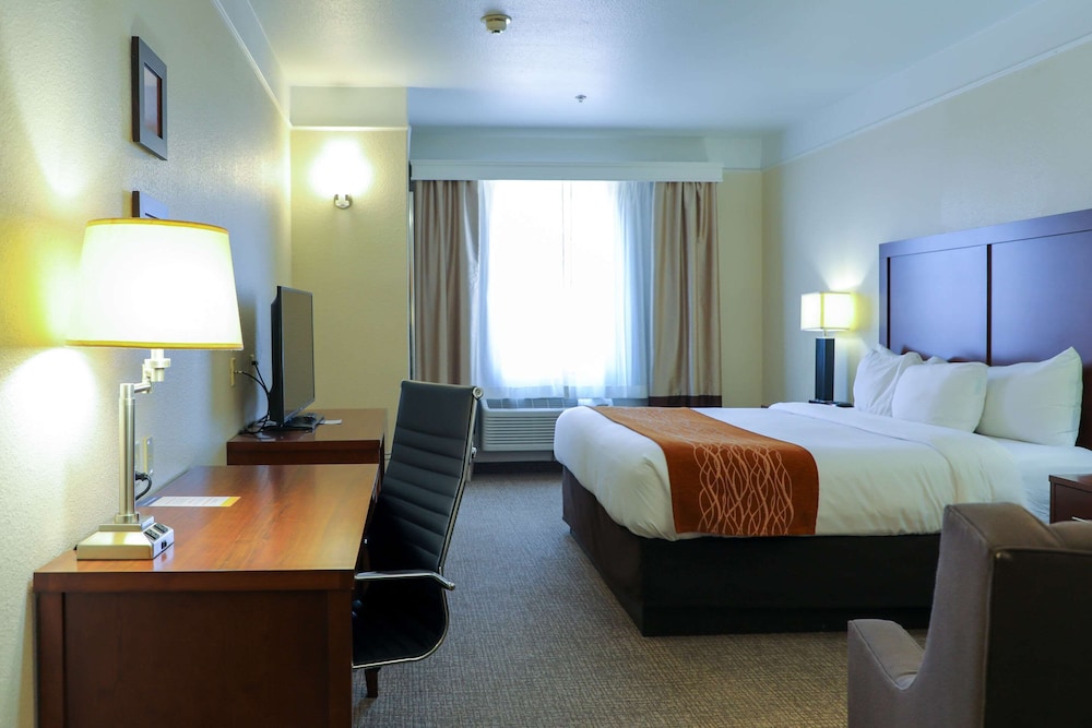 Room, 1 King Bed, Accessible, Non Smoking - Photo 1