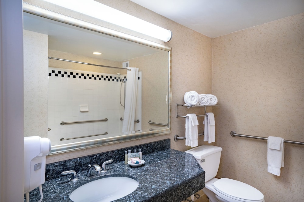 Standard Room, 1 King Bed, Accessible - Photo 4
