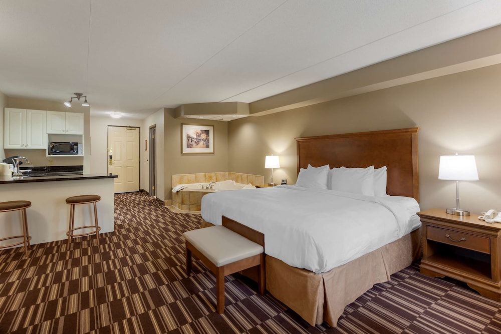 Standard Room, 1 King Bed, Non Smoking, Jetted Tub - Photo 2