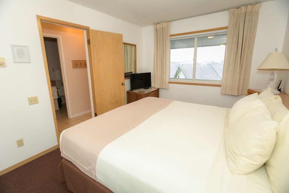 Premium Room, 1 King Bed with Sofa bed, Kitchen, Ocean View (Premium One Bedroom Unit-Room 310-Pet)