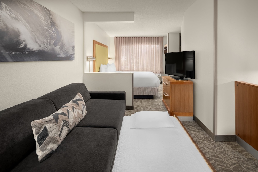 Studio, Multiple Beds - Photo 8