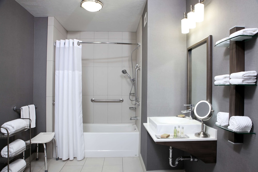 Room, 1 King Bed with Sofa bed, Accessible, Bathtub (Mobility & Hearing)