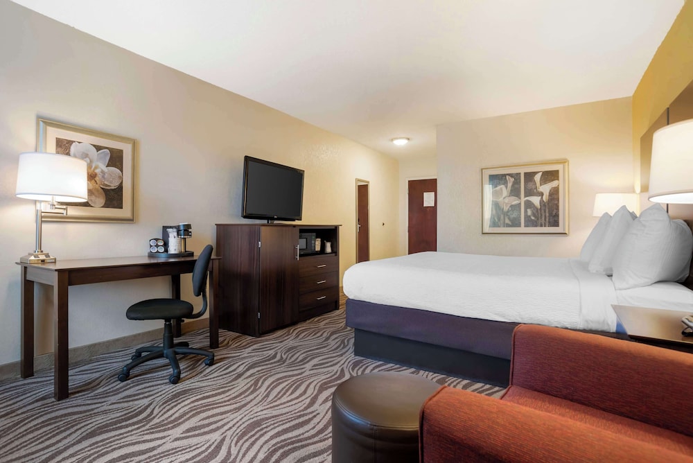 Standard Room, 1 King Bed, Non Smoking, Refrigerator & Microwave (Pet Friendly) photo 1