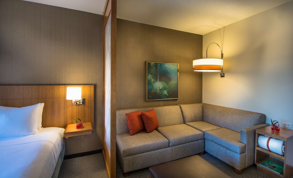 Room, 1 King Bed, Accessible (Specialty) photo 3