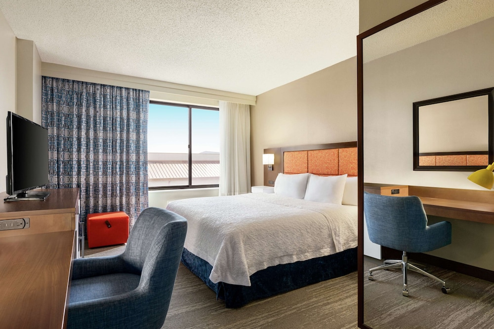 Room, 1 King Bed, Accessible, Bathtub (Mobility & Hearing)