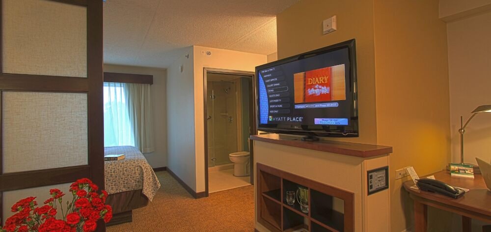 Room, 1 King Bed, Accessible - Photo 3
