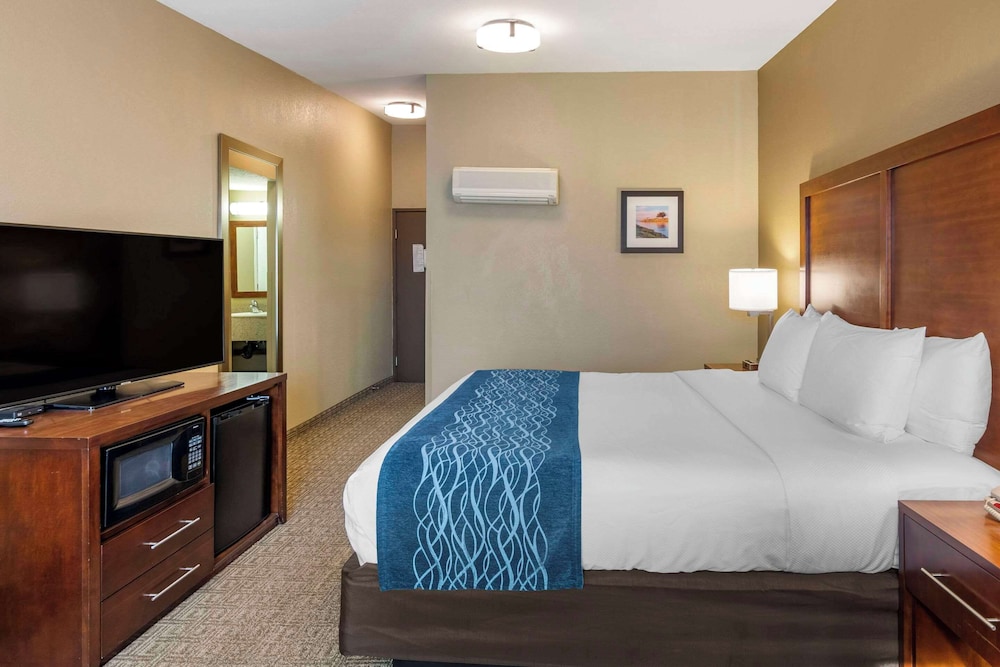 Standard Room, 1 King Bed - Photo 9