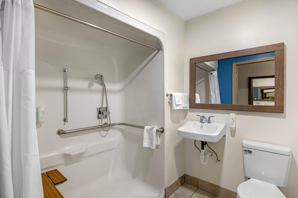 Room, 1 King Bed, Accessible, Non Smoking (Accessible Tub) - Photo 2
