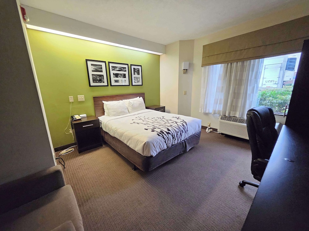 Standard Room, 1 Queen Bed, Accessible, Refrigerator & Microwave - Photo 1