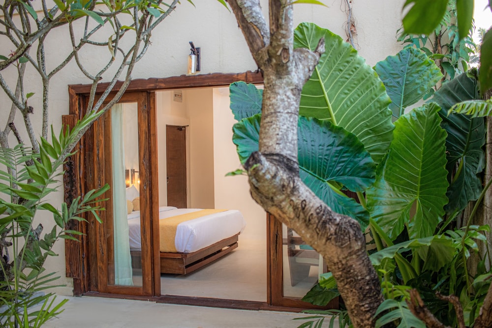 Luxury Double Room, 1 King Bed, Pool Access, Pool View photo 2