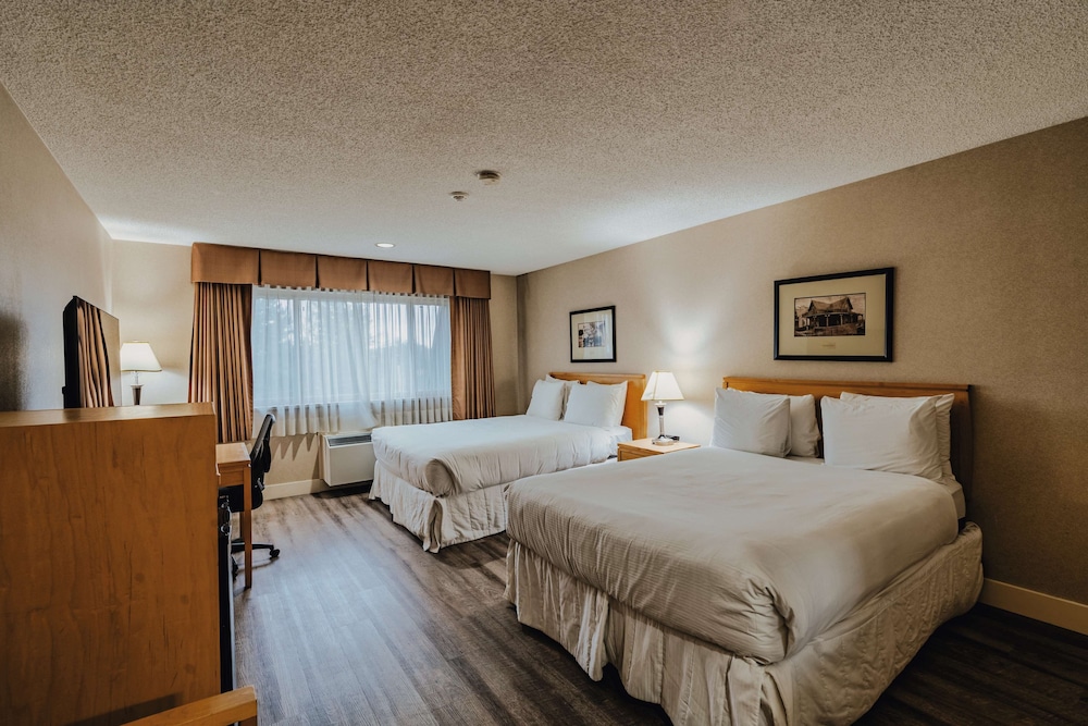 Standard Room, 2 Queen Beds, Non Smoking, Refrigerator & Microwave - Photo 3