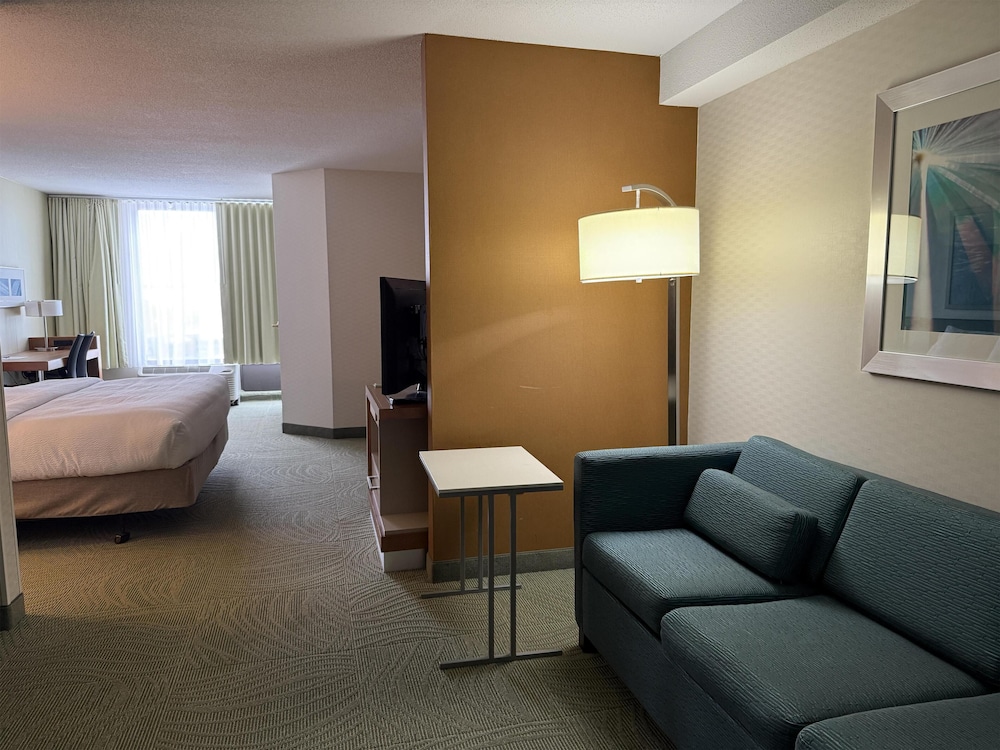 Standard Room, 1 King Bed, Accessible, Refrigerator & Microwave (with Sofabed) - Photo 3