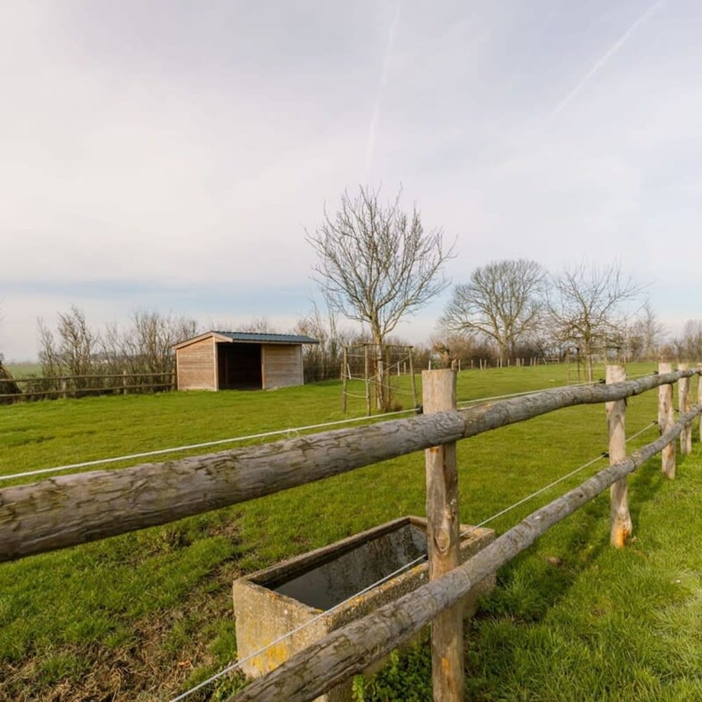 Rustic Family Holiday Home for up to 8 People Located in the Green of the Countryside, Billede 39