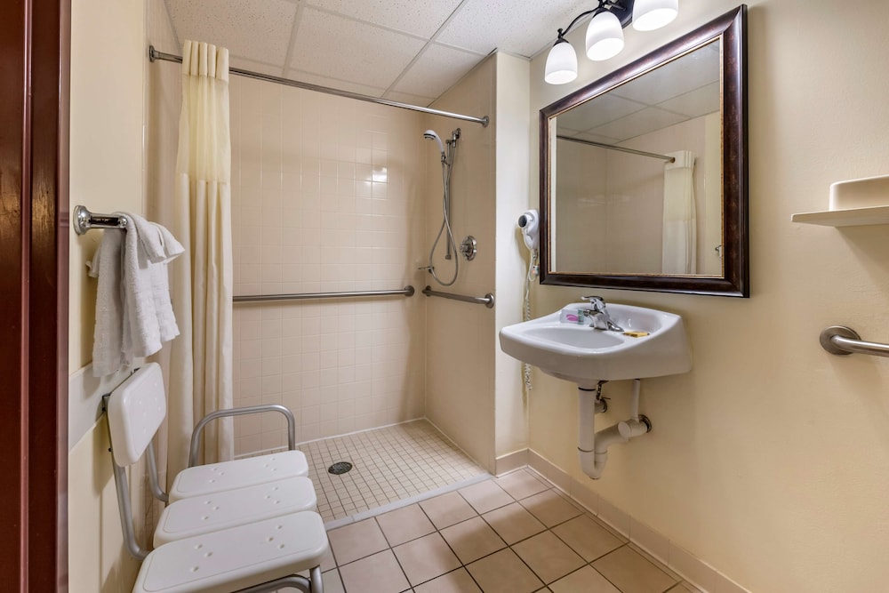 Standard Room, 1 King Bed, Accessible, Refrigerator & Microwave - Photo 1
