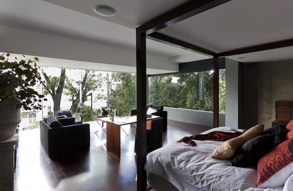 Room, 1 King Bed (Máster Suite )