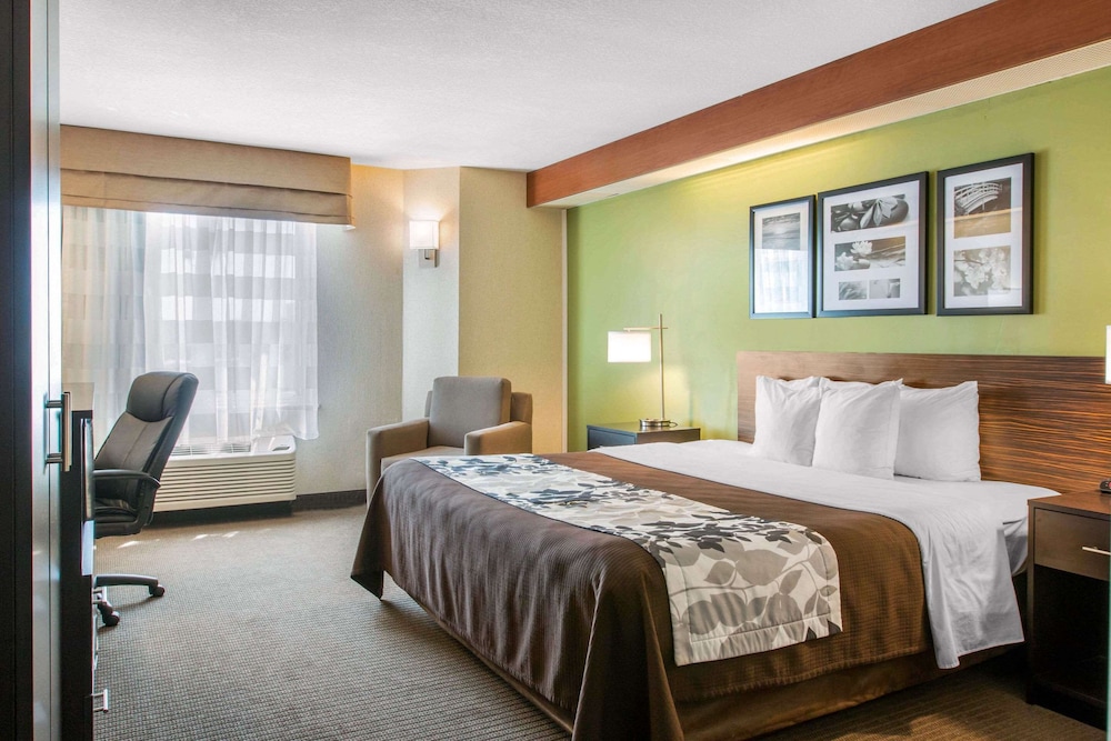 Standard Room, 1 King Bed, Non Smoking - Photo 3