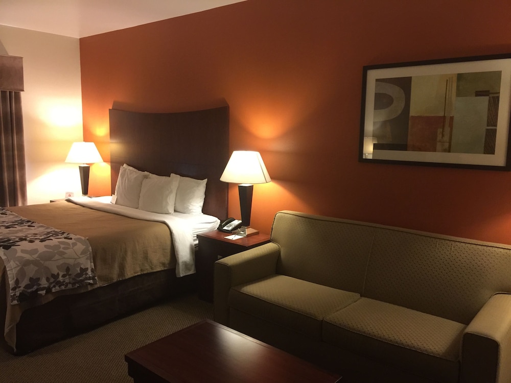 Suite, 1 King Bed with Sofa bed, Non Smoking - Photo 1