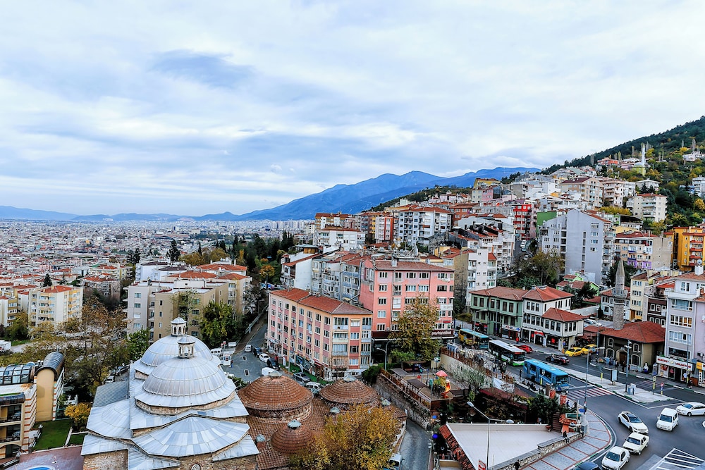 Panoramic Oda photo 3