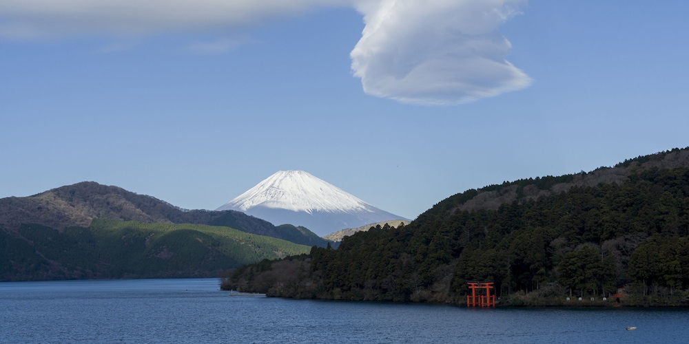 RakutenSTAY FUJIMITERRACE HakoneAshinoko, Photo 8