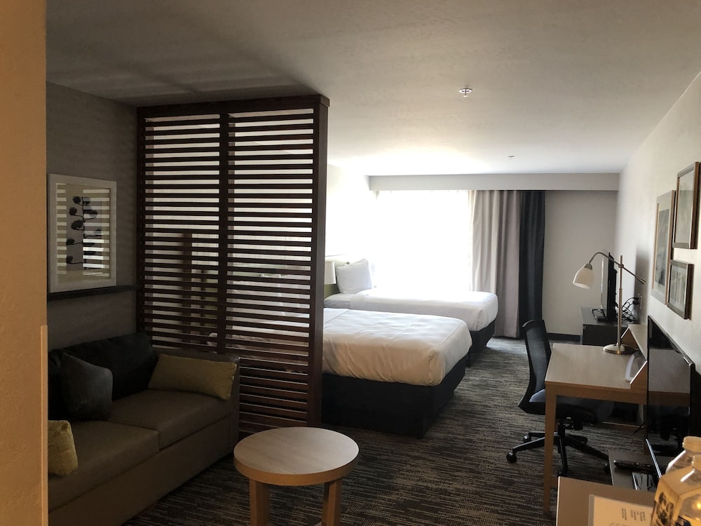 Studio Suite, Multiple Beds, Non Smoking - Photo 2