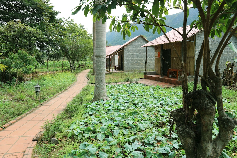 Bungalow, Mountain View photo 1