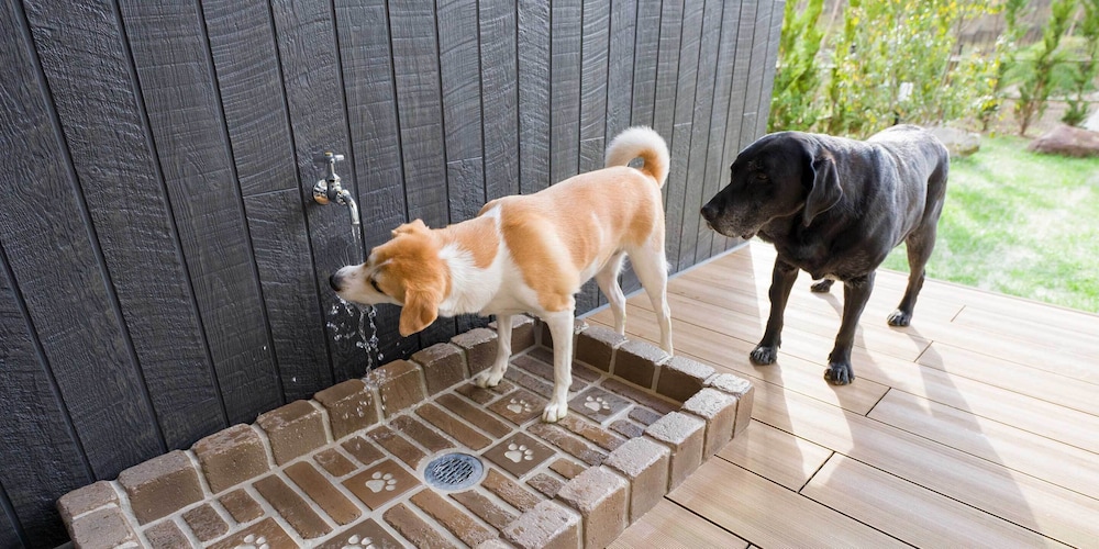 [Dog-friendly] VILLA, Non Smoking - Photo 8